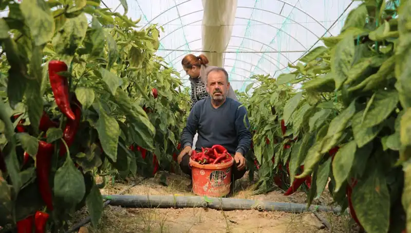 Fiyatı Yüzde 50 Artan Ürünler Tüketicilerin Dikkatini Çekiyor