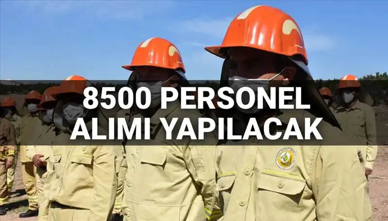 2025'te Tarım ve Orman Bakanlığı 8500 Personel Alacak: İşte Tarihler ve Şartlar
