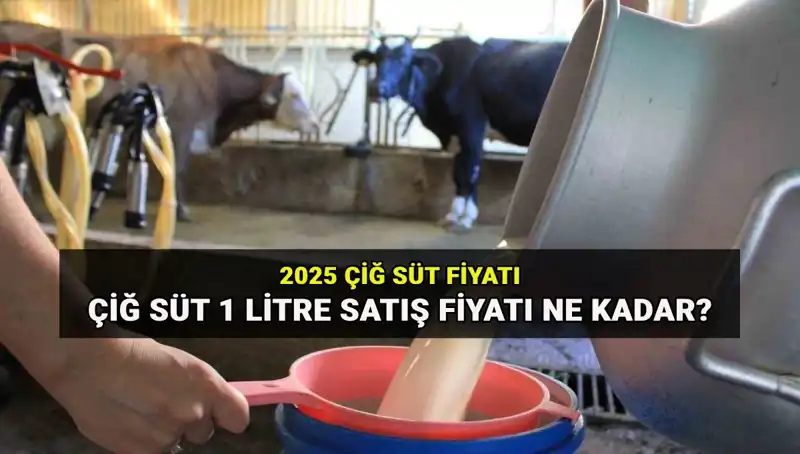 2025 Yılı İçin Çiğ Süt Fiyatları: Ulusal Süt Konseyi'nden Beklentiler