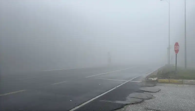 Bolu Dağı'ndaki Gizemli Sis Görüş Mesafesini Nasıl Etkiledi?