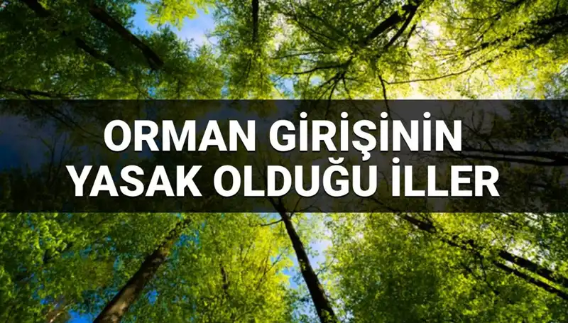 2025’te Ormana Girişi Yasaklanan İller Hangileri?