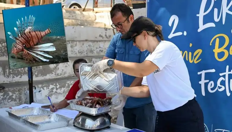 Antalya’da İstilacı Aslan Balığı Avlama Yarışması: Doğanın Korunmasına Destek Olun