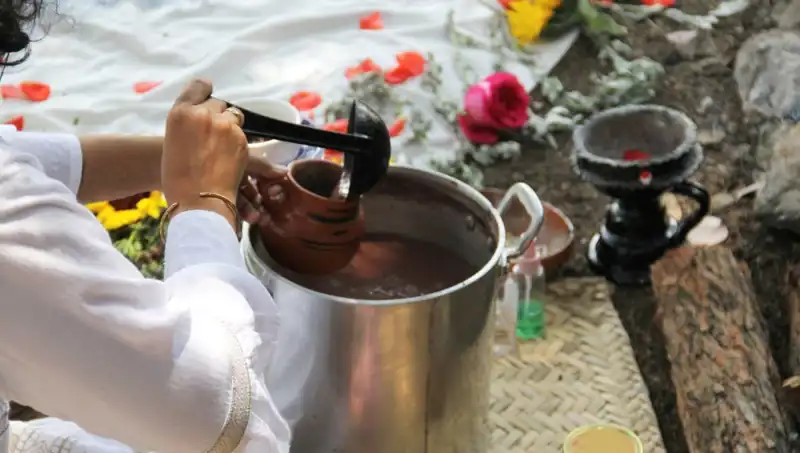 Ayahuasca: Şaman Geleneklerinden Modern Hayata Uzanan İlginç Yolculuk