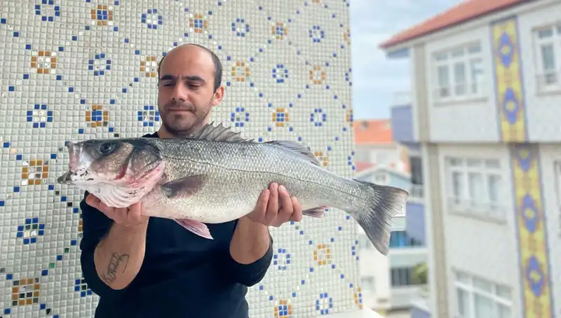 7,5 Kilogramlık Dev Levrek: Balık Avındaki Rekor Kırıldı!