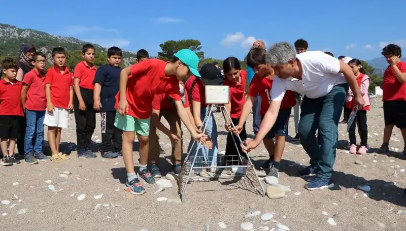 Kemer'de Caretta Caretta Koruma Yasakları Resmen Başladı!