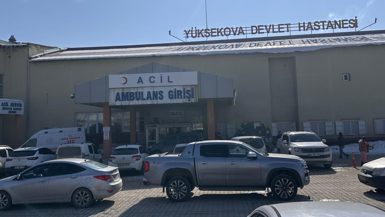 Başıboş köpek saldırısı sonucu ölen çocuk olayında müfettiş soruşturma başlattı