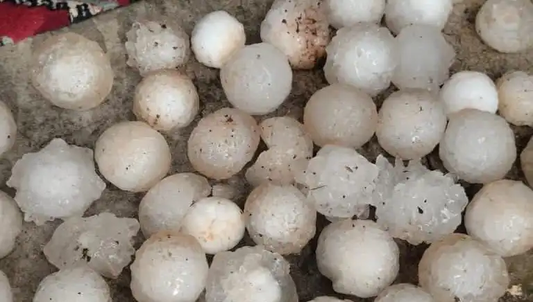 Şanlıurfa'da Kar Topu Büyüklüğünde Dolu Yağışı Hayatı Olumsuz Etkiledi