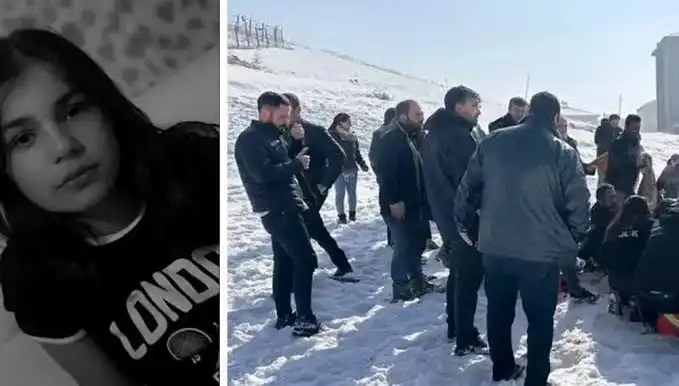 Yüksekova'da Köpek Saldırısında Can Kaybı: Başkan'a Soruşturma İzni Verildi