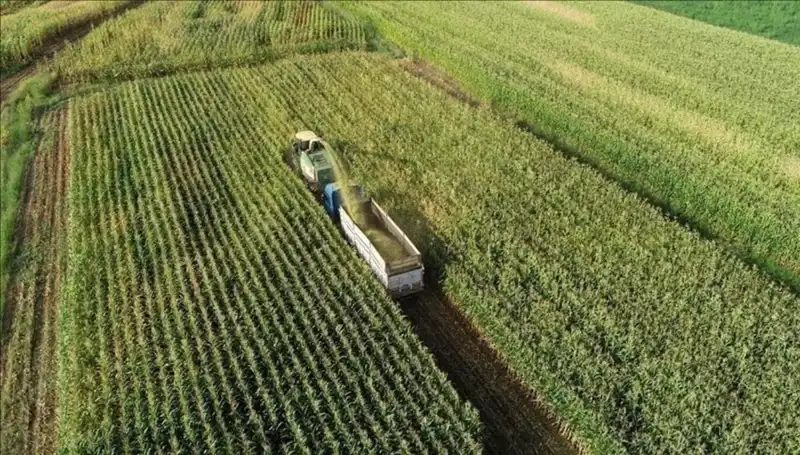 2025 Mart Ayı Mazot ve Gübre Desteği Ödemelerinde Gözler Bakanlıkta