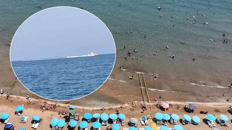 Plajdaki Köpek Balığı Korkusu: Gerçekte Neler Yaşandı?