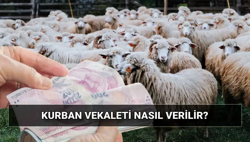 2025 Yılı İçin Vekaletle Kurban Kesimi Hakkında Her Şey