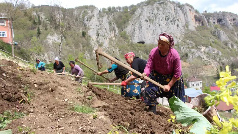 Zorlu Mesai Başladı: Sırtlarındaki Sepetler, Ellerindeki Kazmalarla Yeni Bir Dönem