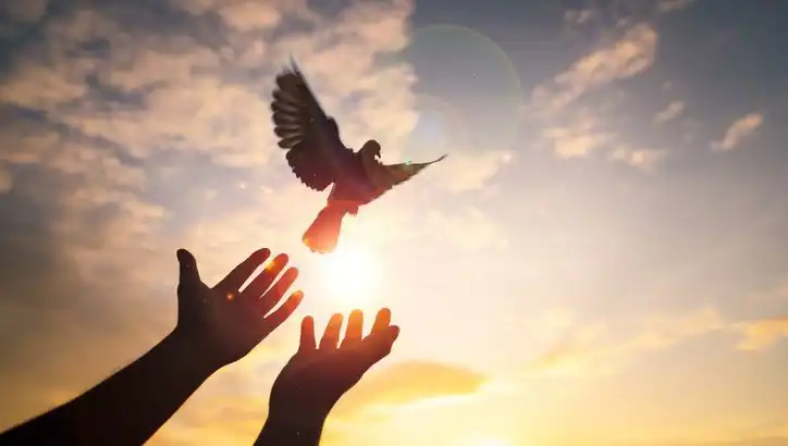 Cuma Mesajları ve Sözleri: Anlamlı ve Özgün Seçeneklerle Spiritual Bir Yolculuk