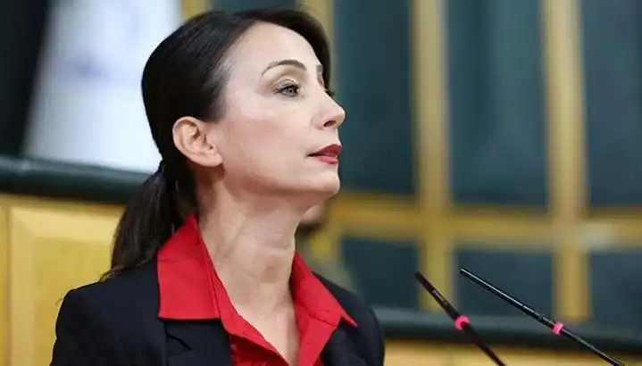 Öcalan'ın Silah Bırakma Çağrısı: DEM Parti'nin Siyasi Turuna Dikkat Çekici Başlangıç