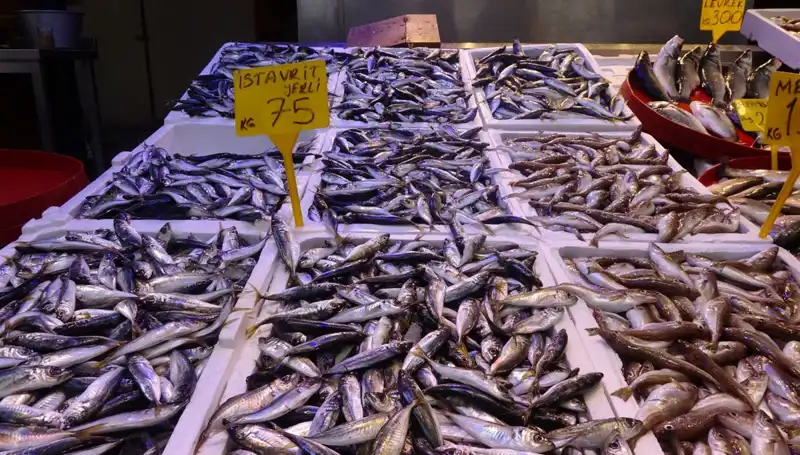 Balık Sezonu Sonunda Neler Olacak? Yeni Gelişmeler ve Etkileri