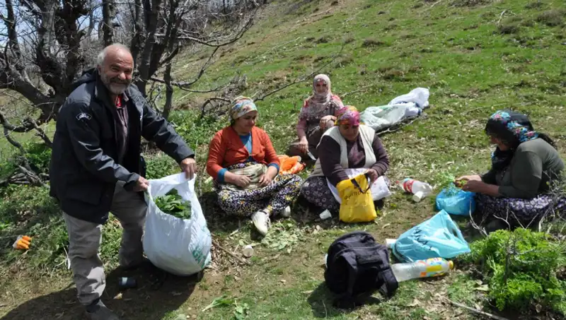 Yürüyerek Topladıkları Biyolojik Zenginlik: Girişimciler Geçimlerini Sağlıyor