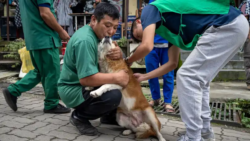 2024'te Filipinler'de Kuduz Alarmı: 426 Kişi Hayatını Kaybetti!