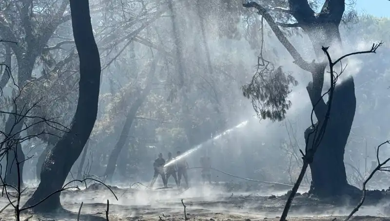 Çanakkale, Antalya ve Hatay’daki Yangınlar Sonunda Kontrol Altına Alındı