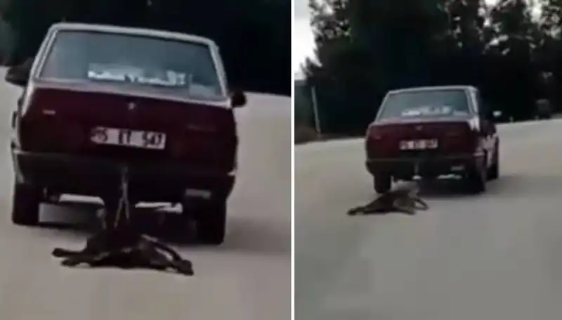 Otomobilin Arkasına Bağladığı Köpeği Sürükleyen Sürücüye Şok Ceza