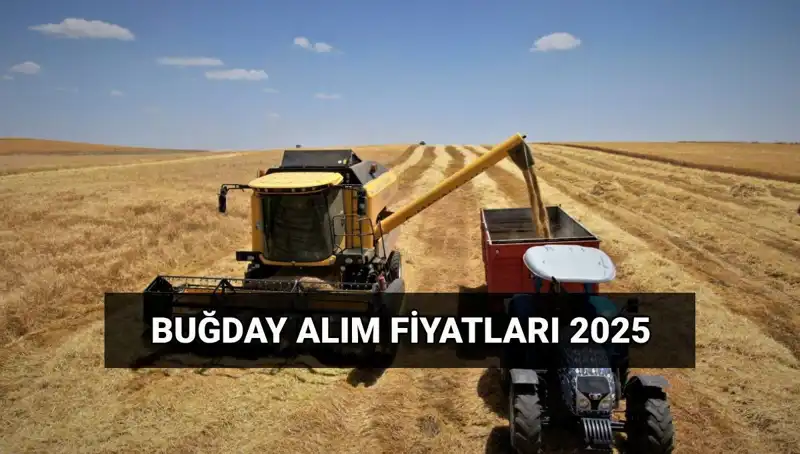 Hububat Alım Ücretleri Ne Zaman Yatacak? 2025 Fiyatları Merak Ediliyor!
