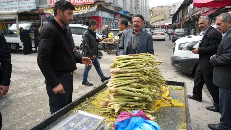 Şekerin Şifalı Gücü: Dağlık Alanlardan Getirilen Mucizevi Bitki