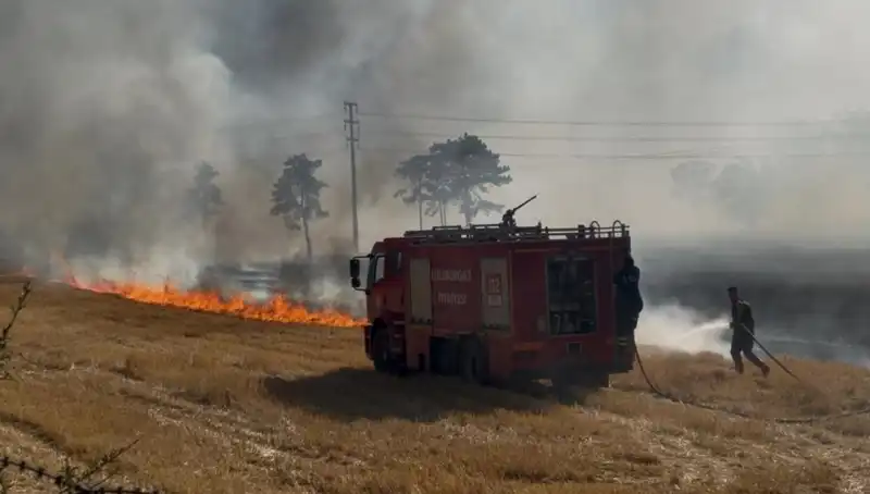 Kırklareli'nde Anız Yangını Korkuttu: Zarar Boyutu Ne Olacak?