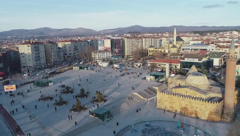 Kırşehir’de Keşfedilen Yeni Böcek Türü Bilim Dünyasında Ses Getirdi!