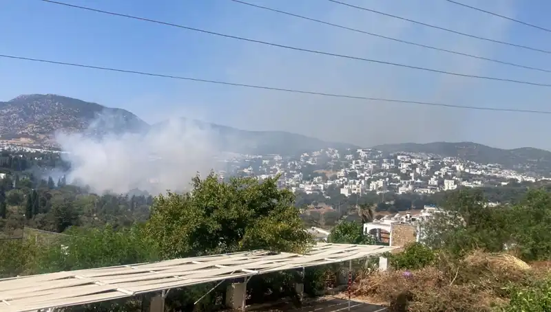Muğla’da Orman Yangınları Kontrol Altına Alındı: Son Gelişmeler Neler?
