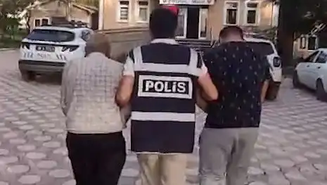 Türkiye'de Köpek Dövüşlerine Gözaltılar: Hayvan Hakları İçin Önemli Bir Adım