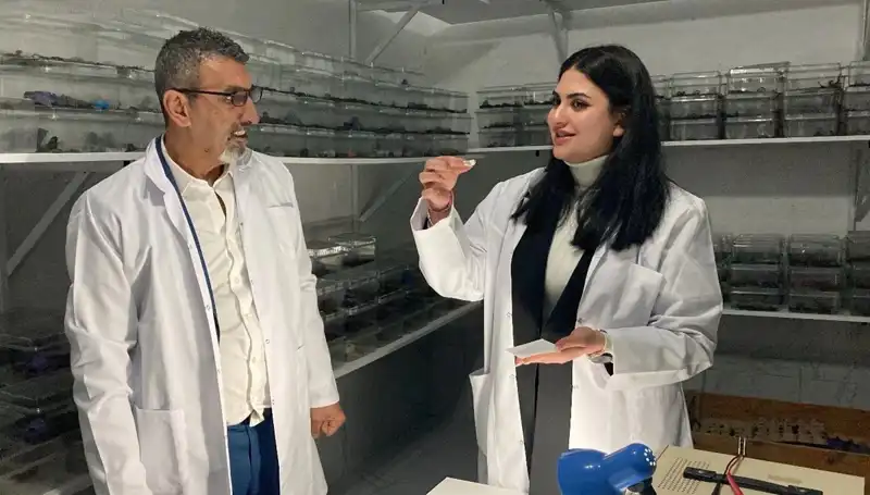Akrep Zehri ile Şeker: Tehlikeli Bir Lezzet Deneyimi!