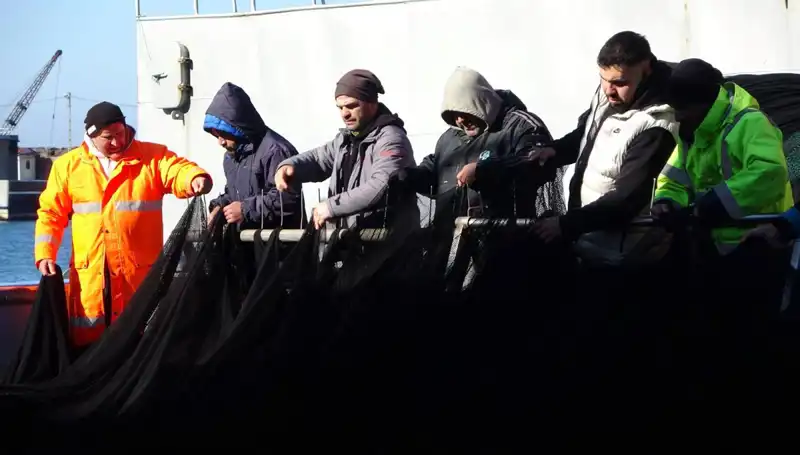 Denizlerde Hamsi Operasyonu Sonuçlandı: Balıkçı Tekneleri Neden Erken Teslim Oldu?