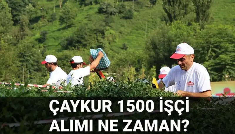 Çaykur İşçi Alımı Başvuru Tarihleri ve Detaylar Açıklandı!