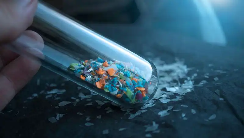 Mikroplastikler İnsan Beynini Aşarak Sağlığımızı Tehdit Ediyor!