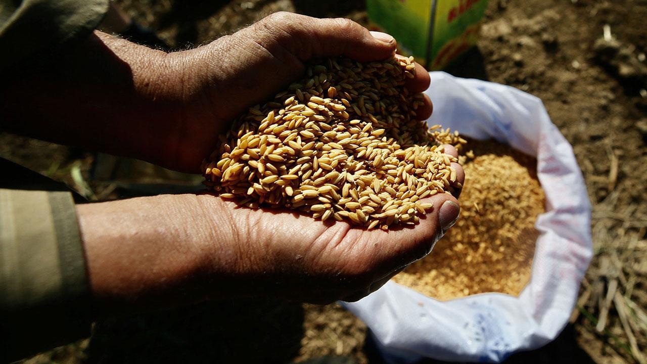 Tarım Kredi Marketlerinden Tarım Kredi'nin Ata Tohumları Ürünleri