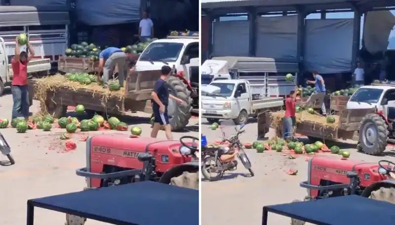 Karpuzları Yere Atarak Parçalayan Çiftçilere Kötü Haber Geldi!