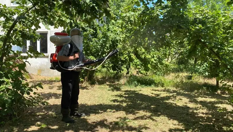 Çiftçilerin Kükürt ve Samuray Arısıyla Mücadelesindeki Umut Hikayesi