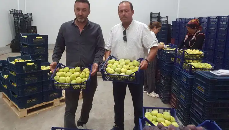 Mersinli Çiftçilerin Yüzünü Güldüren 20 TL'lik İhracat Başarısı