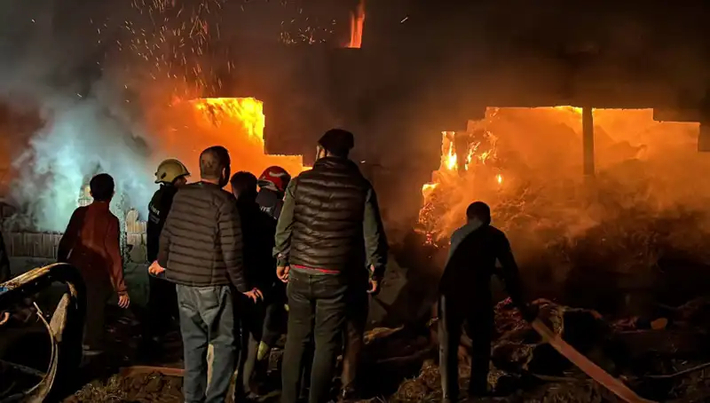 Bolu'da Korkutan Ahır Yangını: Can ve Mal Kaybı Raporları!