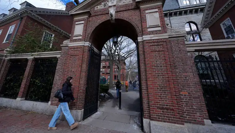 Harvard Profesörlerinden Dikkat Çeken Davayı Trump Yönetimine Açtı