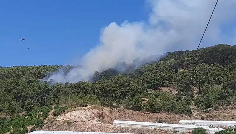 Kumluca'da Çıkan Orman Yangını, Doğayı Tehdit Ediyor: Neler Yaşanıyor?