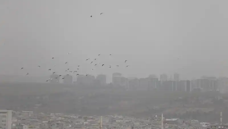 Şanlıurfa'da Görülmemiş Toz Fırtınası: Kent Adeta Görünmez Hale Geldi